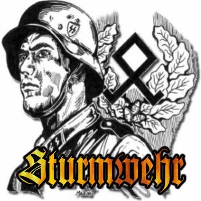 Sturmwehr - Discography (1995-2010) Sturmwehr - Discography (1995-2010)