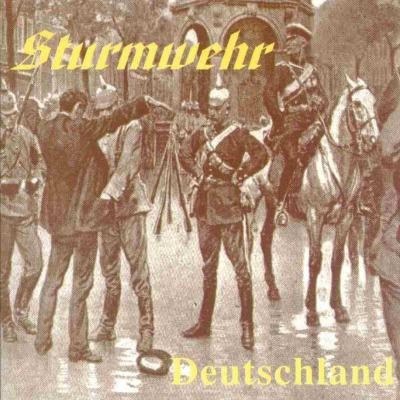 Sturmwehr - Discography (1995-2010) Sturmwehr - Discography (1995-2010)