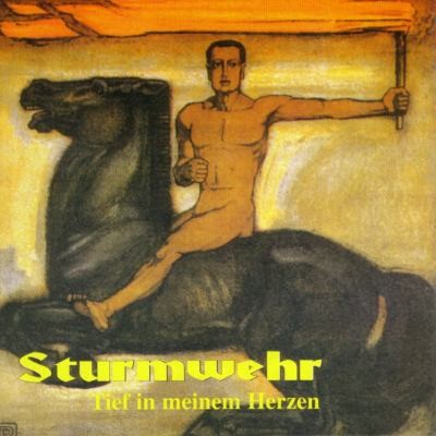 Sturmwehr - Discography (1995-2010) Sturmwehr - Discography (1995-2010)