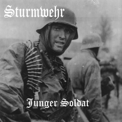 Sturmwehr - Discography (1995-2010) Sturmwehr - Discography (1995-2010)